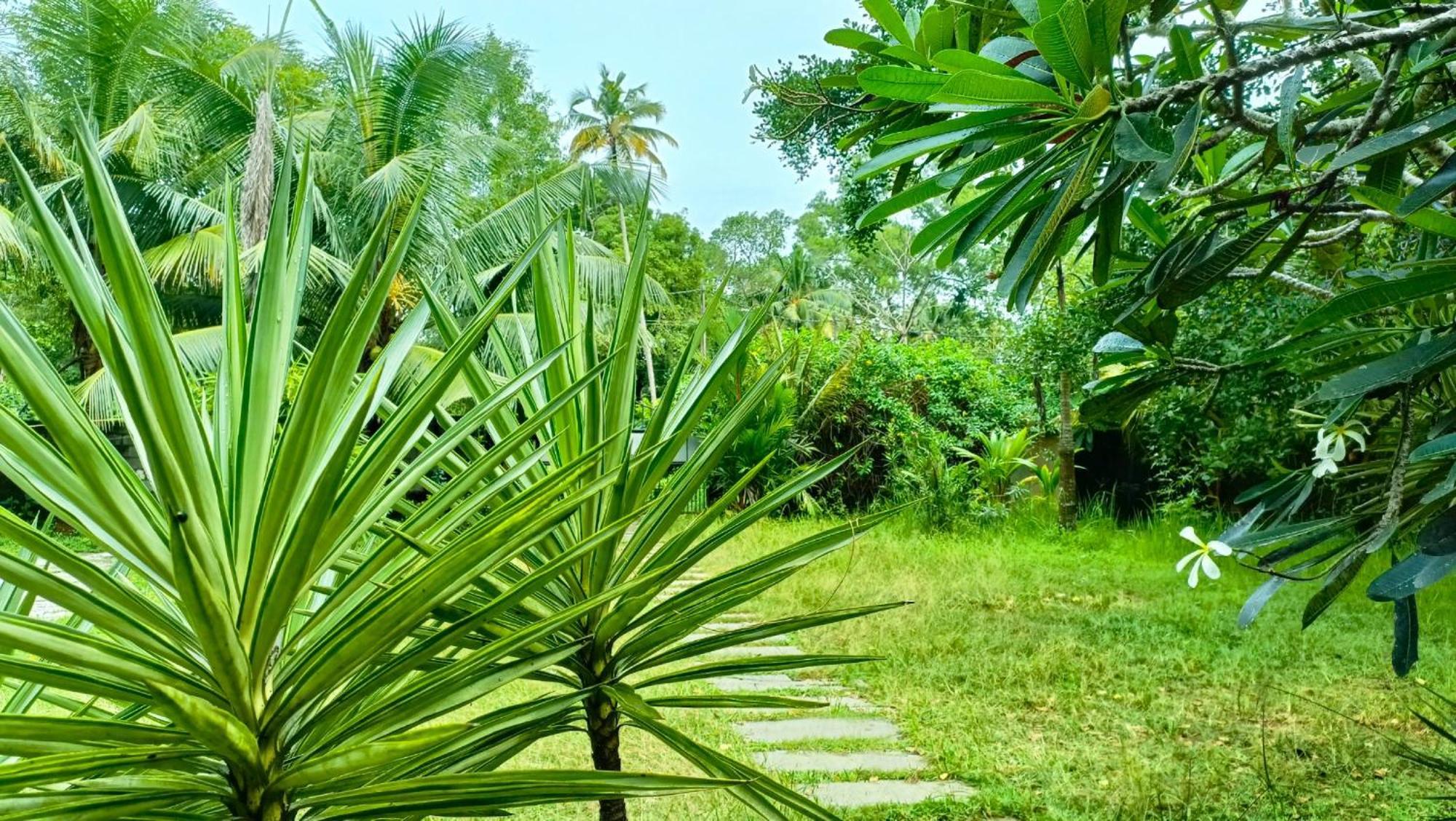 Angels' Homestay Marari Mararikulam Exterior photo